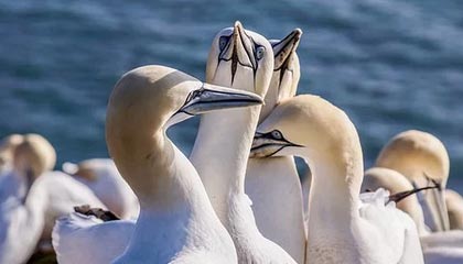 中超榜首易主 保级战陷入混乱